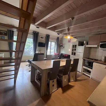 A Deux Pas Des Telecabines, Confortable Avec Parking Et 2 - Fr-1-812-26 Lejlighed Cauterets