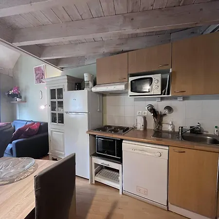 A Deux Pas Des Telecabines, Confortable Avec Parking Et 2 - Fr-1-812-26 コテレ